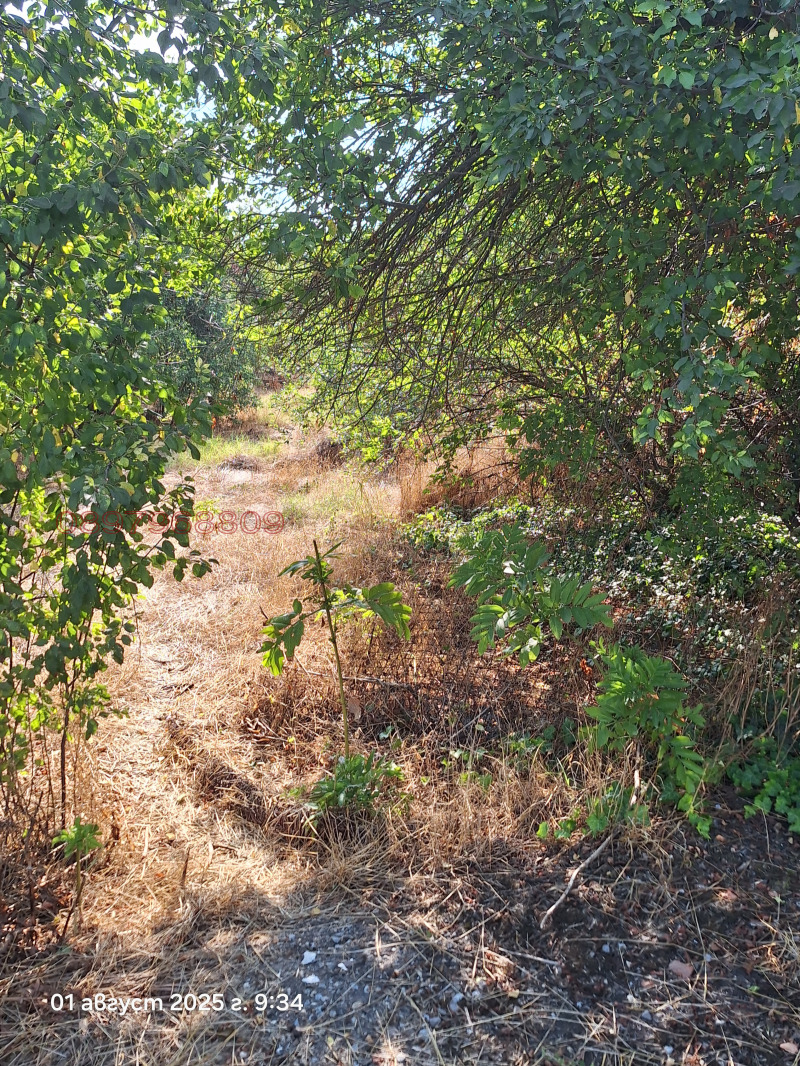 Продава ПАРЦЕЛ, с. Бръшлен, област Русе, снимка 9 - Парцели - 52781956