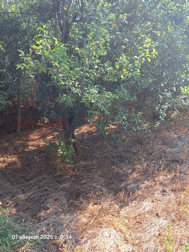 Продава ПАРЦЕЛ, с. Бръшлен, област Русе, снимка 11 - Парцели - 52781956