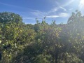 Продава ПАРЦЕЛ, област Стара Загора, с. Хрищени • 36000 € • 31010845 6