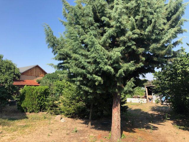 ������� ���� | Imot.bg � ����������� 5