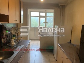 ����� ������� ����������,���� �����, ������ �����