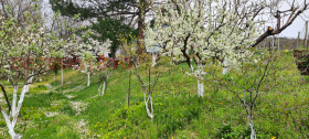 ������� ���� | Imot.bg � ����� ������ 6