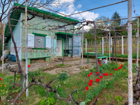 ����� ������� ����,���� �����, ���������� ����