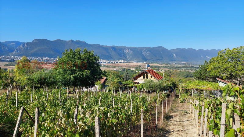 Продава ВИЛА, гр. Враца, Студентски град, снимка 12 - Вили - 52780379