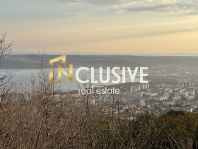 ����� ������� ����,���� �����, �-� �������