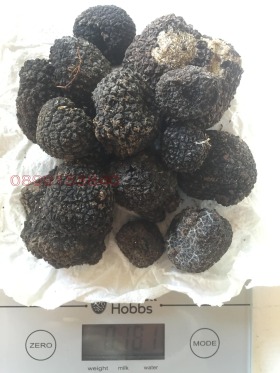 ������� ������ | Imot.bg � ����� ������ 3