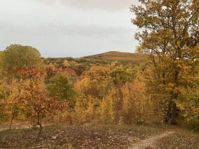 ������� ������ | Imot.bg � ����� ������ 7