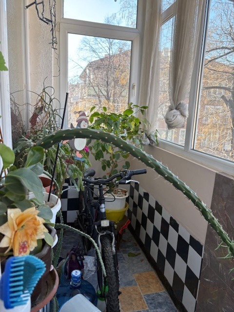 Продава 3-СТАЕН, гр. Пловдив, Център, снимка 4 - Апартаменти - 53844472