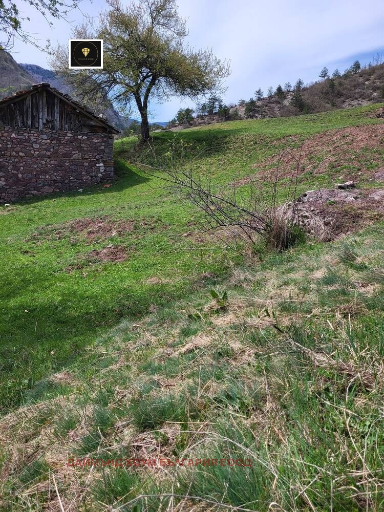 Til salg  Grund region Plovdiv , Belitsa , 1150 kvm | 12500757 - billede [2]