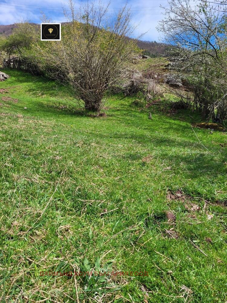 Til salg  Grund region Plovdiv , Belitsa , 1150 kvm | 12500757 - billede [3]