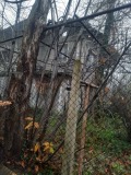 Продава КЪЩА, гр. Вършец, област Монтана, снимка 4