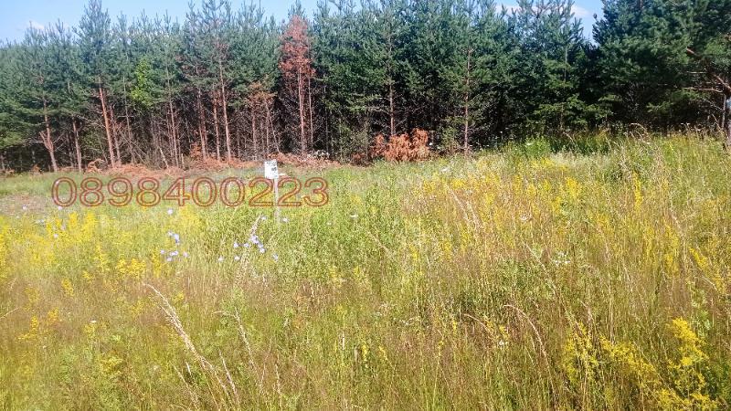 ������� ������ | Imot.bg � ����������� 3