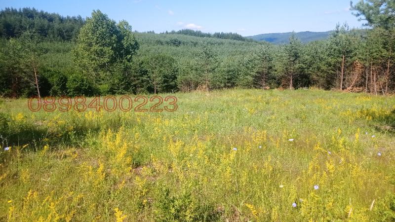 ������� ������ | Imot.bg � ����������� 1