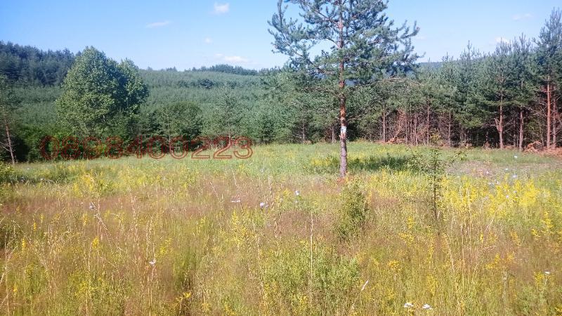 ������� ������ | Imot.bg � ����������� 2