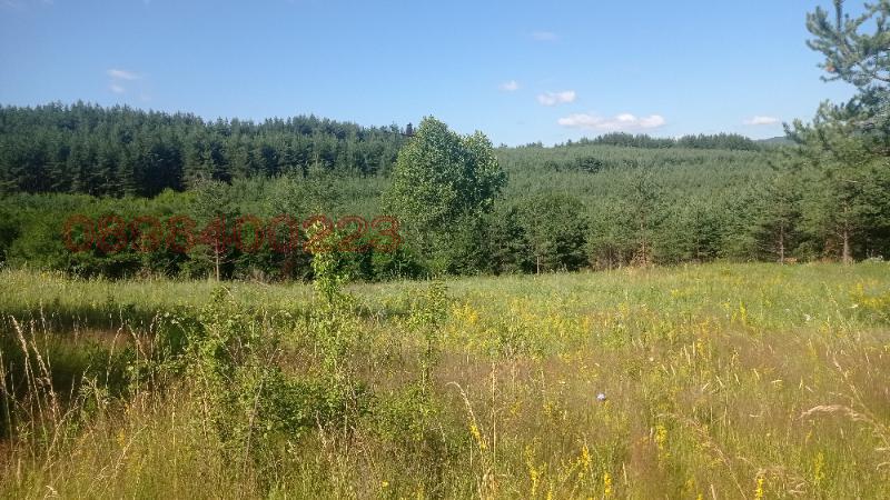������� ������ | Imot.bg � ����������� 4