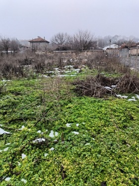 ����� ������� ������,�. ������, ������ �������