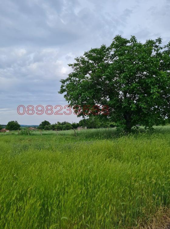 Продава ПАРЦЕЛ, с. Братя Даскалови, област Стара Загора, снимка 5 - Парцели - 52784997