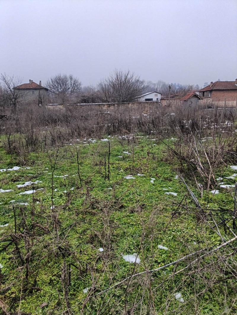 Продава ПАРЦЕЛ, с. Гецово, област Разград, снимка 2 - Парцели - 53209214
