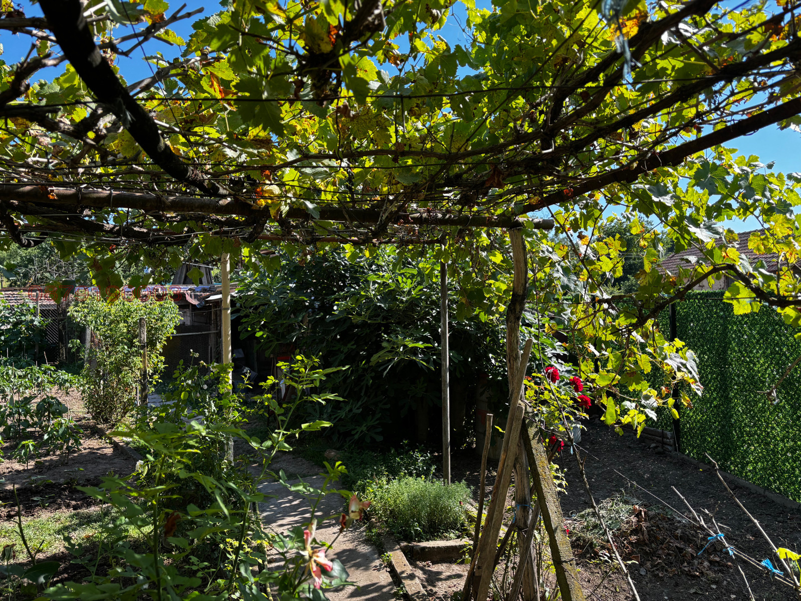 Продава КЪЩА, с. Камен, област Велико Търново, снимка 15 - Къщи - 55676631
