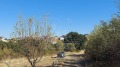 Продава ПАРЦЕЛ, област Пловдив, с. Белащица • 330680 € • 64024442 — Holmes.bg