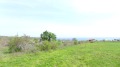Продава ПАРЦЕЛ, област Бургас, с. Варвара • 5581950 € • 32318809 — Holmes.bg