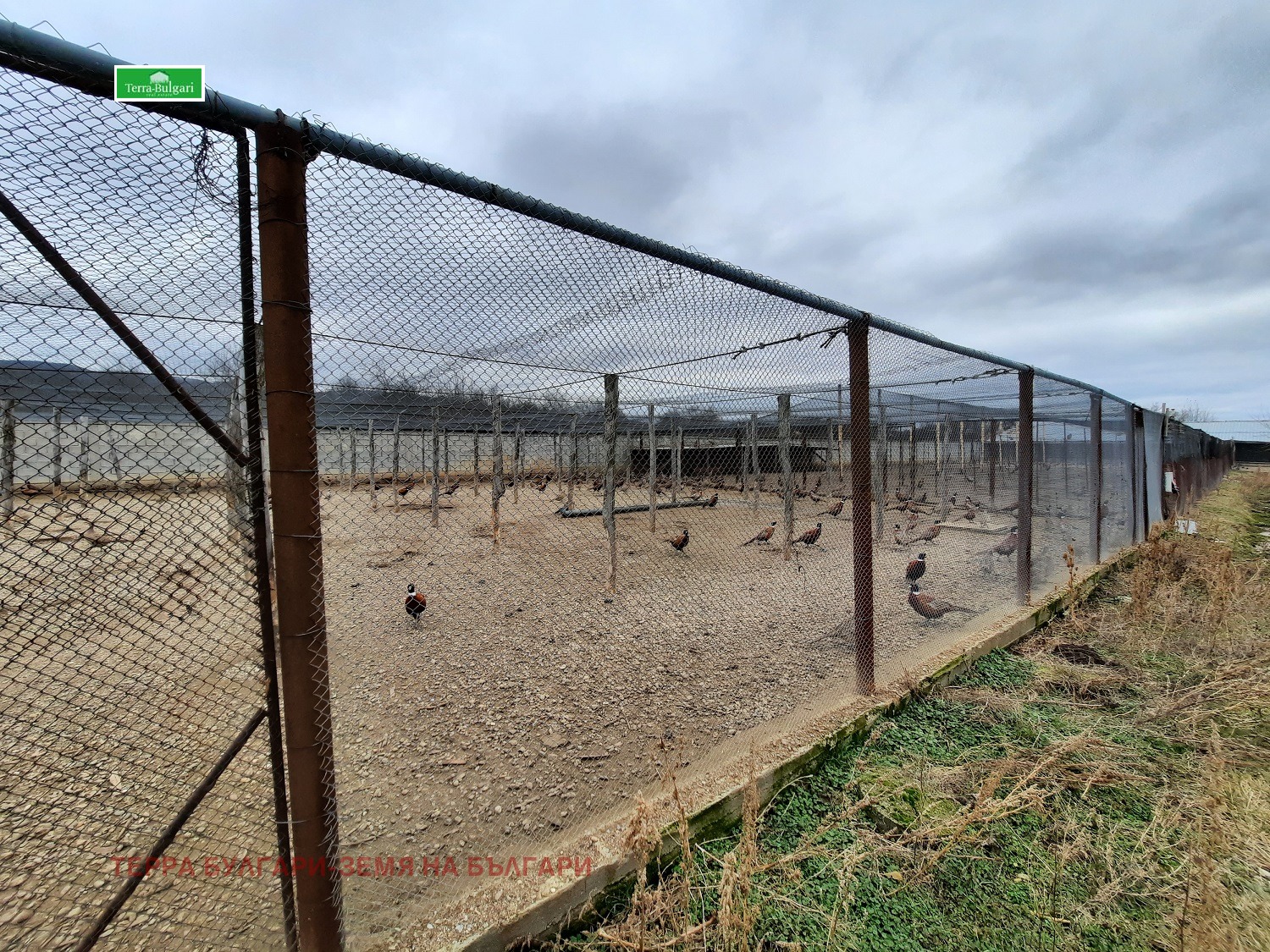 Продава ФЕРМА | Imot.bg — изображение 16