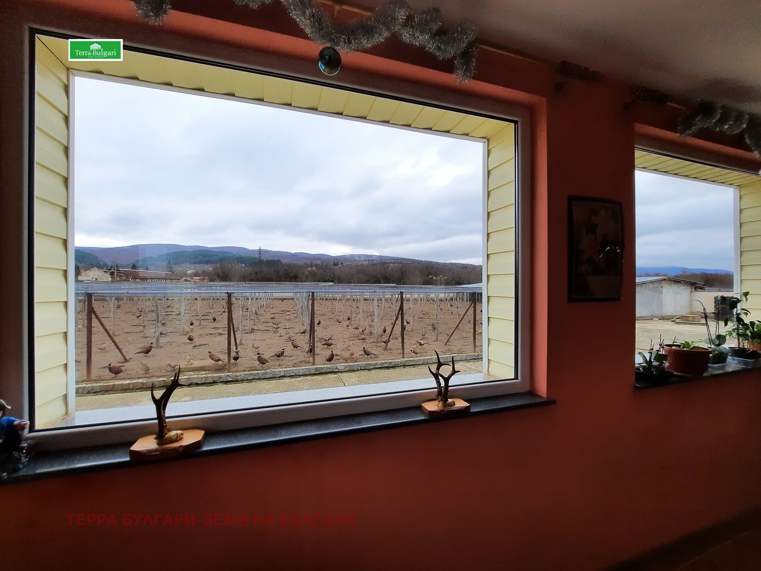 Продава ФЕРМА | Imot.bg — изображение 5