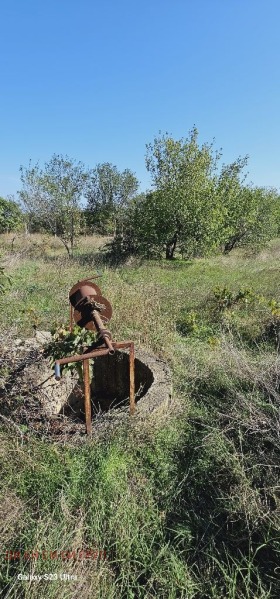 Плот Доброглед, регион Варна 1