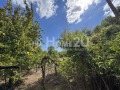 Продава КЪЩА, област Варна, с. Венелин • 24990 € / 48876.19 лв. • 81270266 6