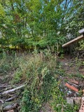 Продава КЪЩА, област Велико Търново, с. Мерданя • 50000 € • 34366435 17