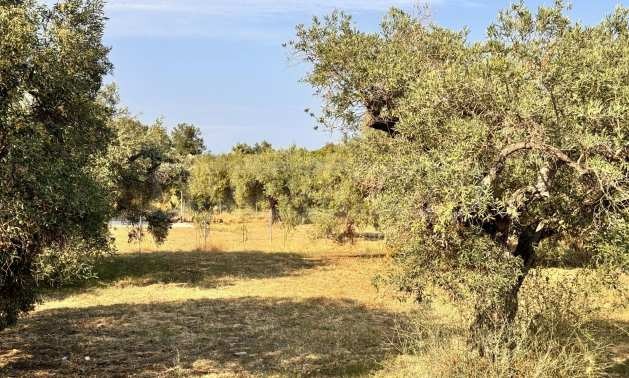 Продава ПАРЦЕЛ | Imot.bg — изображение 4