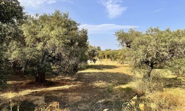 Продава ПАРЦЕЛ | Imot.bg — изображение 2