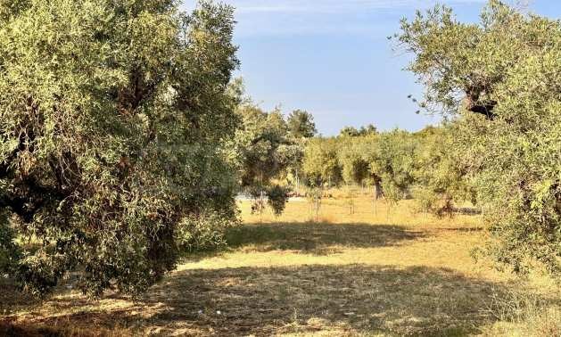 Продава ПАРЦЕЛ | Imot.bg — изображение 3