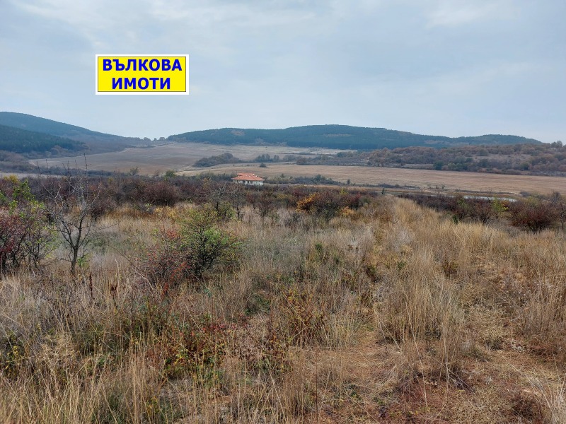 Продава ПАРЦЕЛ в област Стара Загора, с. Малка Верея - 5000 кв.м / 87 000 € » 170 157.21 лв., ВЪЛКОВА ИМОТИ