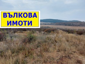 ����� ������� ������,�. ����� �����, ������ ����� ������