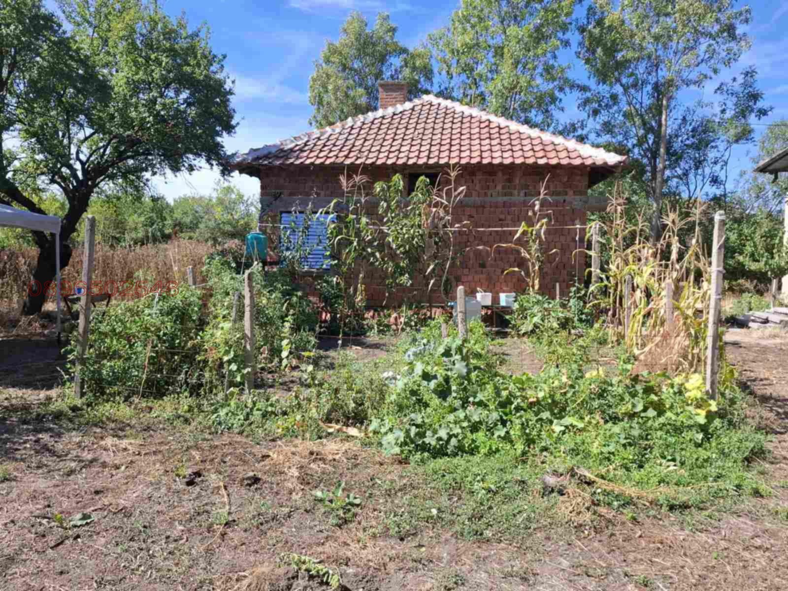 Продава КЪЩА, с. Киселево, област Монтана, снимка 5 - Къщи - 54857340