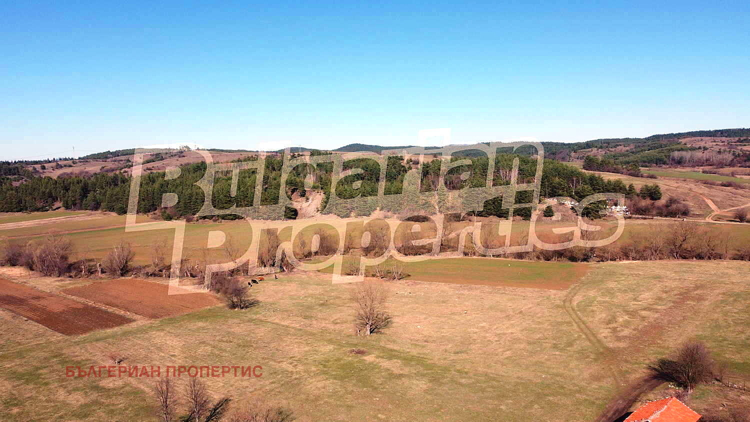 Продава ЗЕМЕДЕЛСКА ЗЕМЯ | Imot.bg — изображение 12