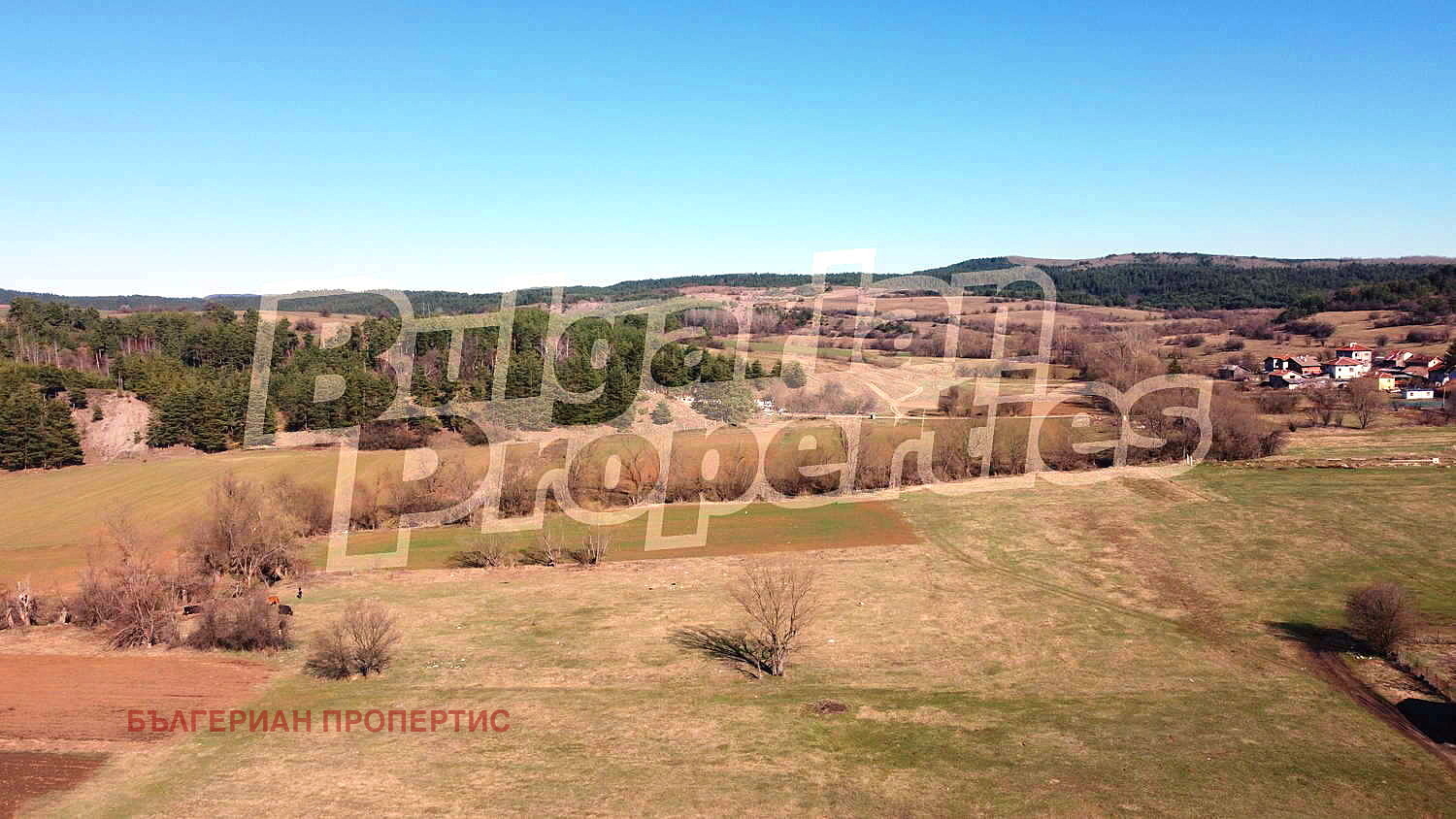 Продава ЗЕМЕДЕЛСКА ЗЕМЯ, с. Драгушиново, област София област, снимка 3 - Земеделска земя - 49912873