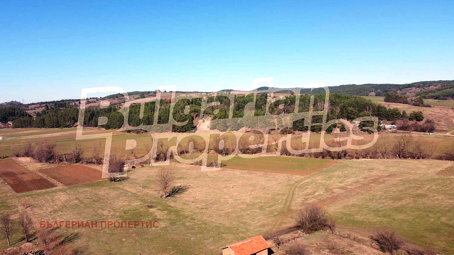 Продава ЗЕМЕДЕЛСКА ЗЕМЯ, с. Драгушиново, област София област, снимка 15 - Земеделска земя - 49912873