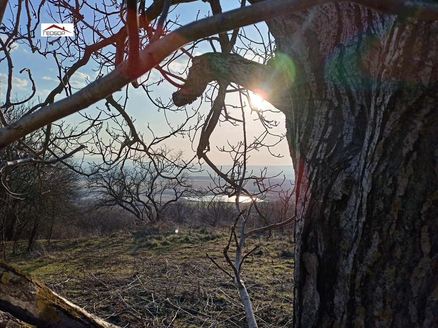 ������� ������ | Imot.bg � ����������� 2