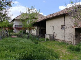 ����� ������� ����,�. ������, ������ ���������