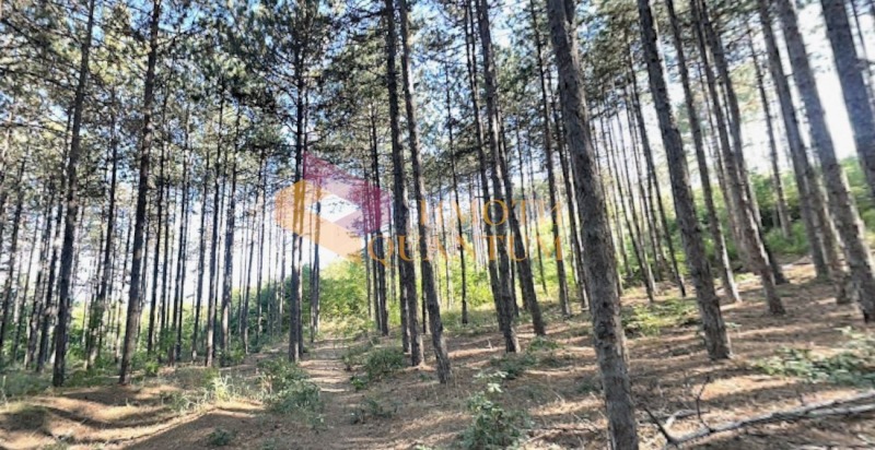 Продава ПАРЦЕЛ, гр. Варна, м-т Горна Трака, снимка 9 - Парцели - 52385270