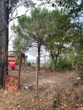 Продава ПАРЦЕЛ, град Варна, Аспарухово • 199999 € • 58275756 — Holmes.bg
