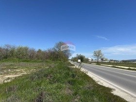 ����� ������� ������,���� �����, ������