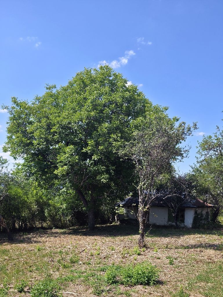 Продава КЪЩА, с. Калище, област Перник, снимка 5 - Къщи - 56314953