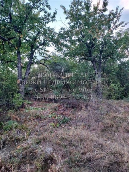 Προς πώληση  Γη περιοχή Plovdiv , Ζλατοσελ , 6 dka | 62493373 - εικόνα [2]