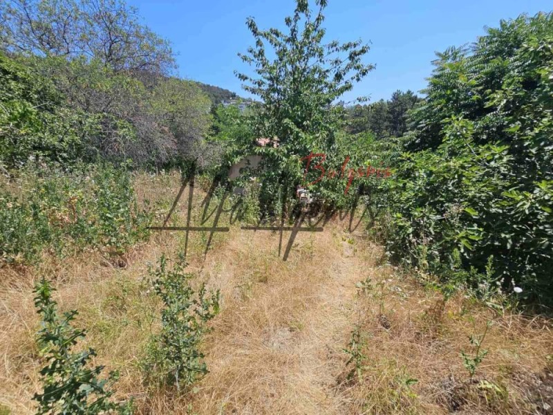 Προς πώληση  Βίλα Βαρνα , μ-τ Σοτηρα , 30 τ.μ | 62920252 - εικόνα [6]
