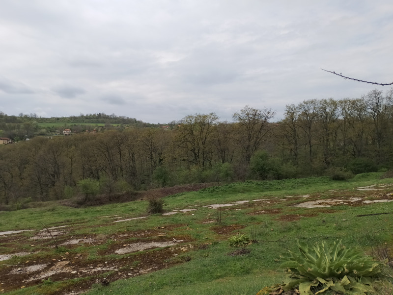 À venda  Terra região Varna , Solnik , 9 tudo bem | 96504640 - imagem [2]