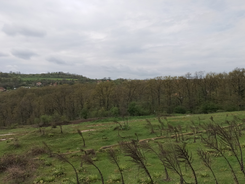 À venda  Terra região Varna , Solnik , 9 tudo bem | 96504640 - imagem [6]