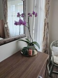 Продава 3-СТАЕН, град Бургас, Сарафово • 242000 € • 77561570 — Holmes.bg